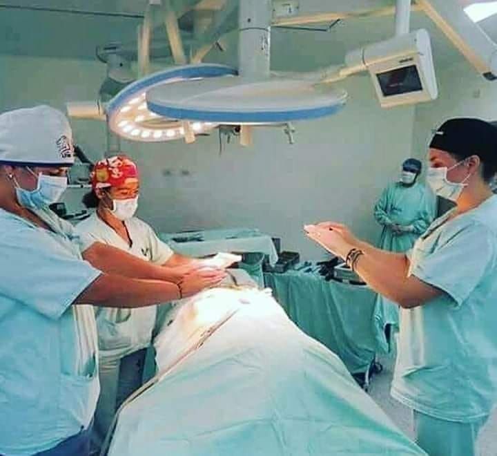 reiki services de santé reikoeur hopitaux clinique maison de retraite