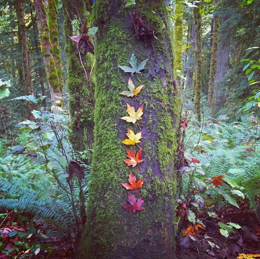 therapie reikoeur reiki haut doubs frambouhans