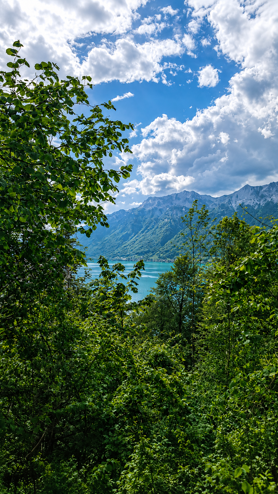 Lac de Neuchâtel et nature du Haut-Doubs, Chemin Reikoeur